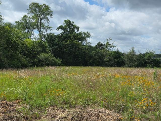 Land for sale in Plantersville, Grimes County