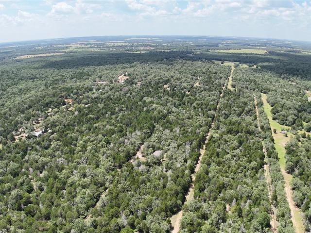 Land for sale in Paige, Texas