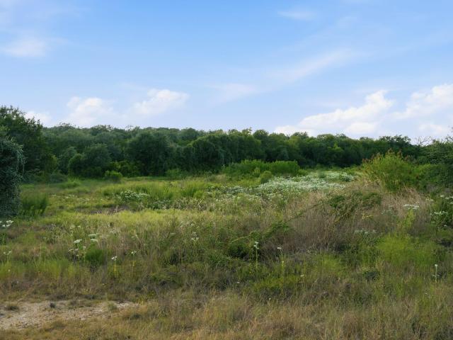 Land for sale in Bertram, Burnet County