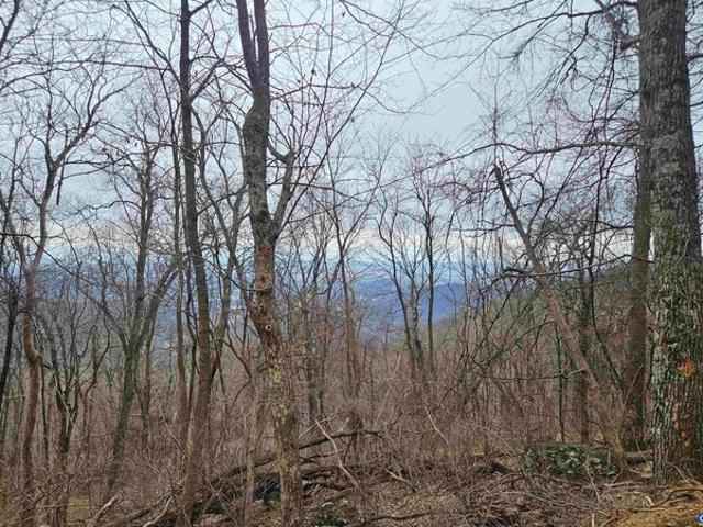 Land for sale in Virginia