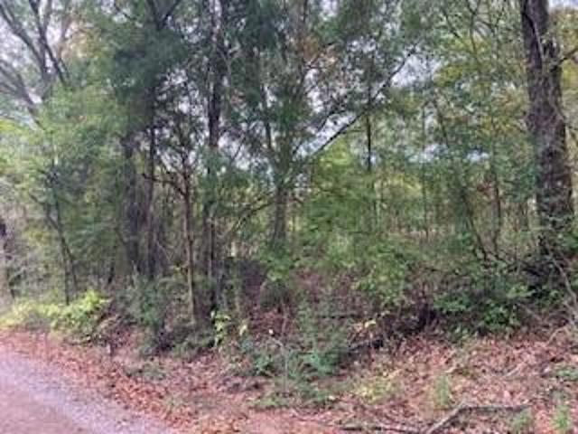 Land for sale in Henderson, Texas