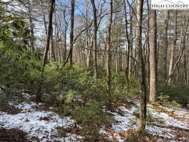 Land for sale in Obids, Ashe County