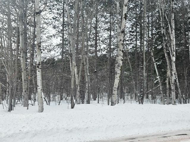 Land for sale in Michigan