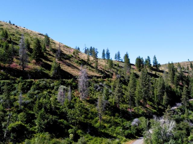 Land for sale in Cambridge, Idaho