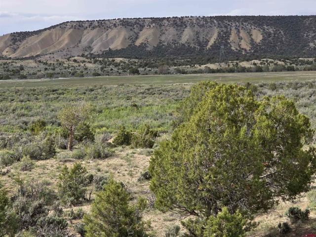 Land for sale in Montrose, Colorado