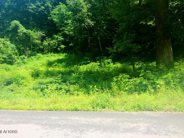 Land for sale in Tennessee