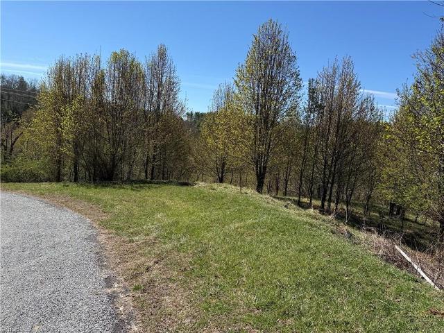 Land for sale in Alleghany, North Carolina