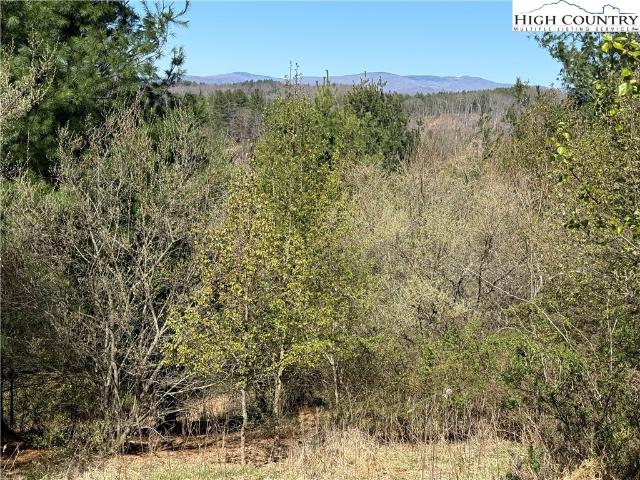 Land for sale in Alleghany, North Carolina