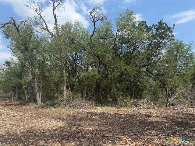 Land for sale in Salado, Texas
