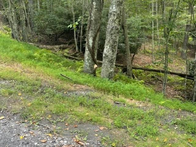 Land for sale in Jefferson, North Carolina