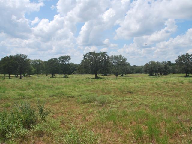 Land for sale in Flatonia, Texas