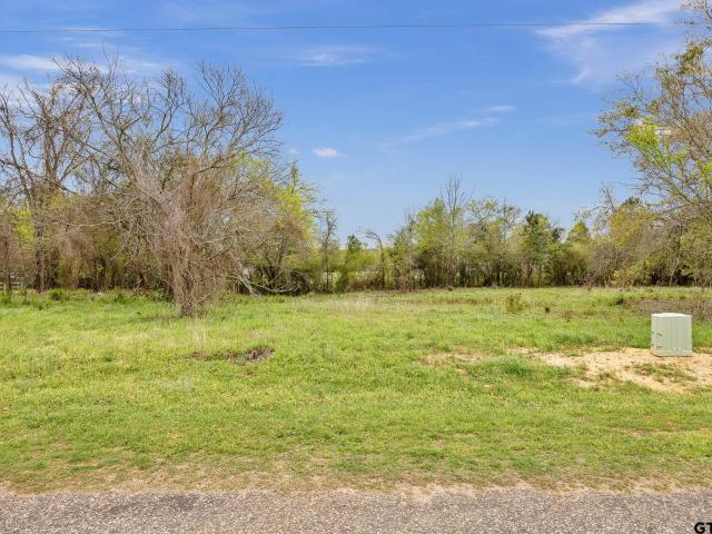 Land for sale in Frankston, Texas