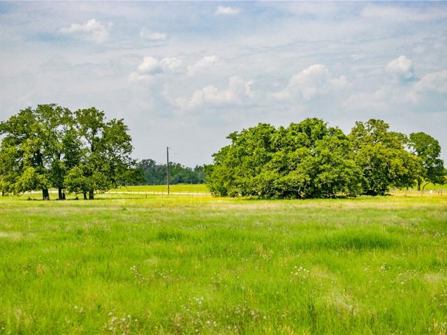 Land for sale in Somerville, Texas