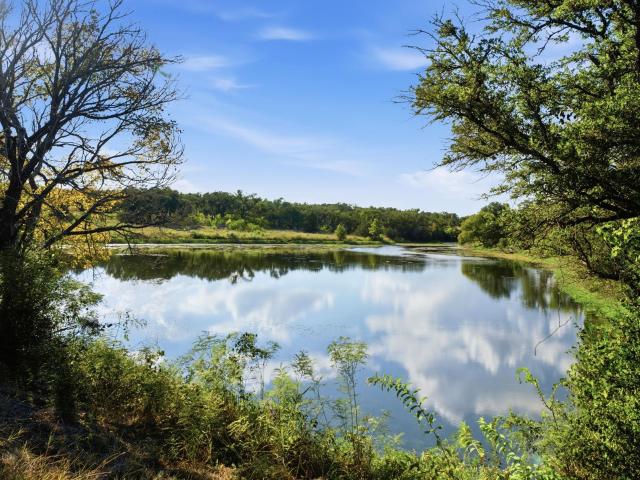 Land for sale in Bertram, Burnet County