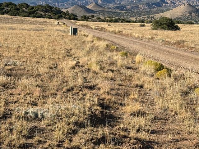 Land for sale in New Mexico