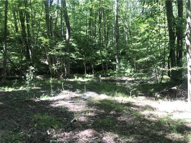 Land for sale in Lansing, North Carolina