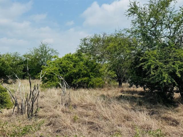 Land for sale in Bee, Texas