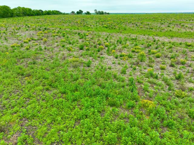 Land for sale in Milam, Texas