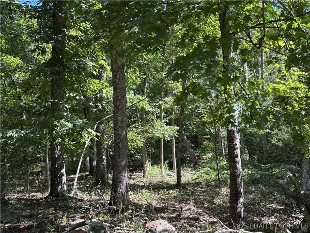 Land for sale in Camdenton, Missouri