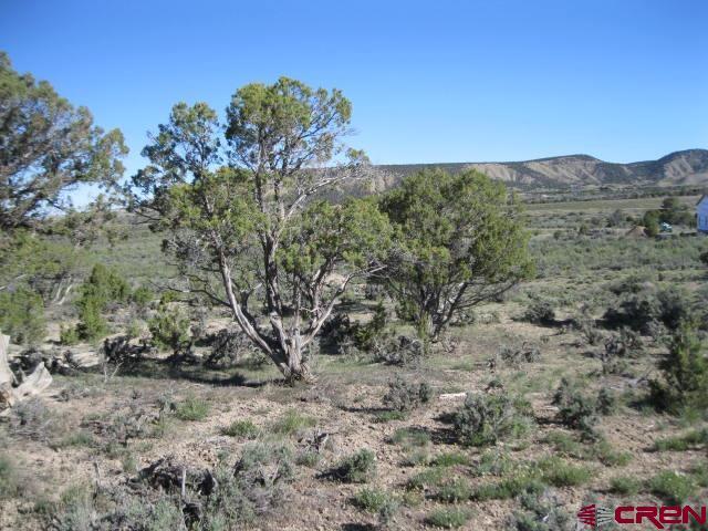 Land for sale in Montrose, Colorado