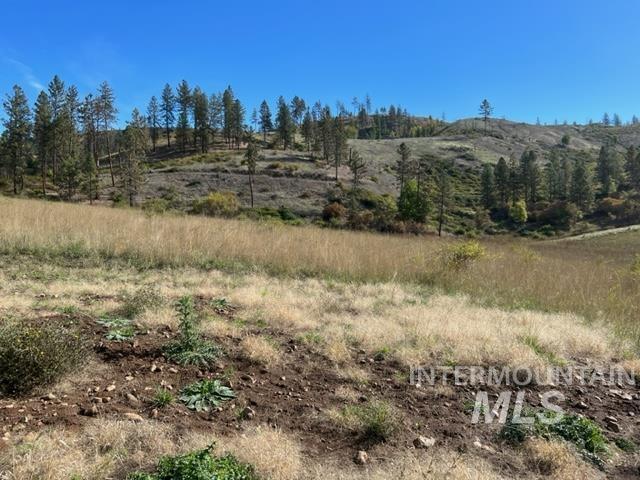 Land for sale in Kamiah / qemyexp, Idaho County