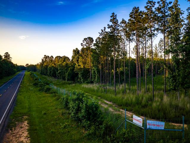 Land for sale in Polk, Texas