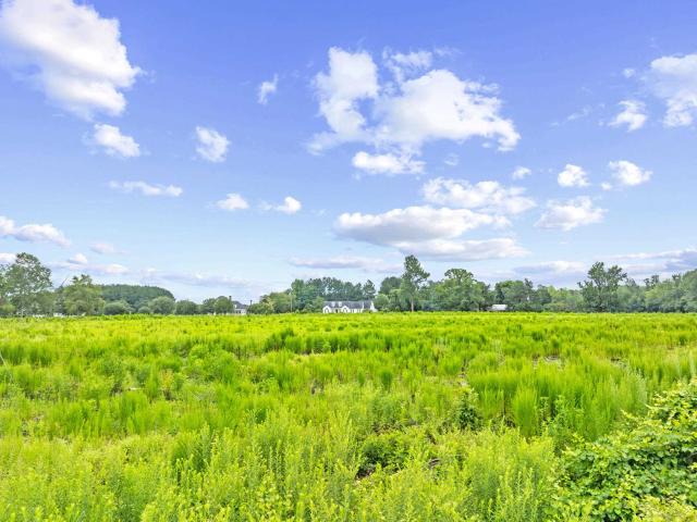 Land for sale in Green Sea, South Carolina