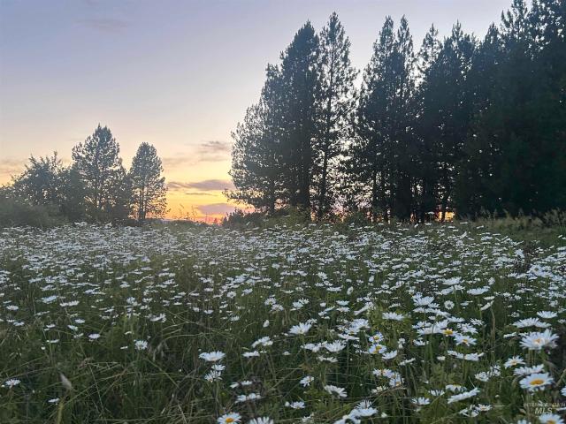 Land for sale in Kooskia, Idaho