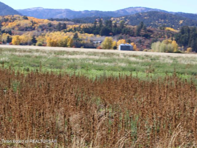 Land for sale in Driggs, Idaho