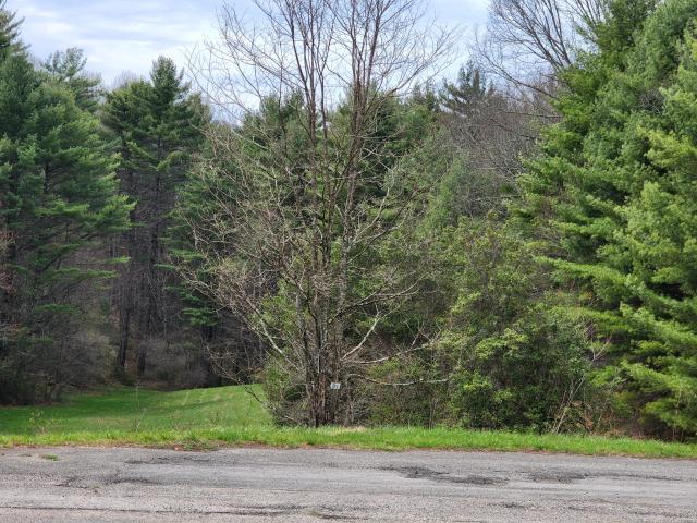 Land for sale in Tennessee