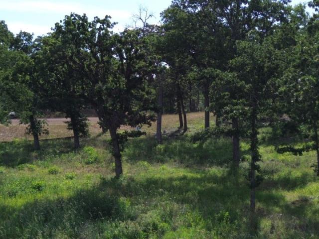 Land for sale in Limestone, Texas