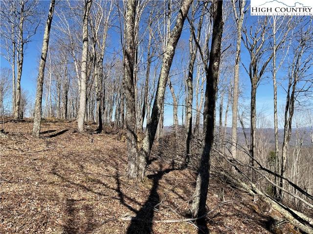 Land for sale in Avery, North Carolina