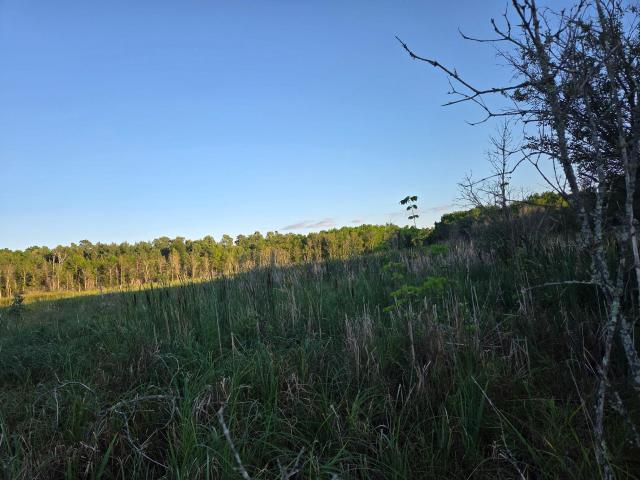 Land for sale in Bagley, Minnesota