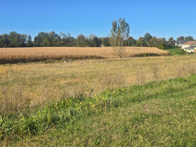 Land for sale in Harmony, Minnesota