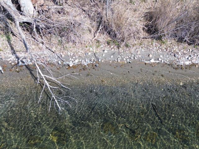 Land for sale in Minnesota