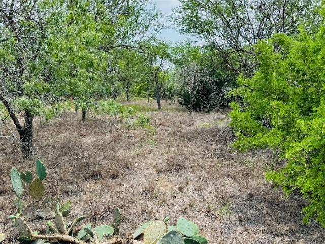 Land for sale in River Oaks Number 2 Colonia, Beeville
