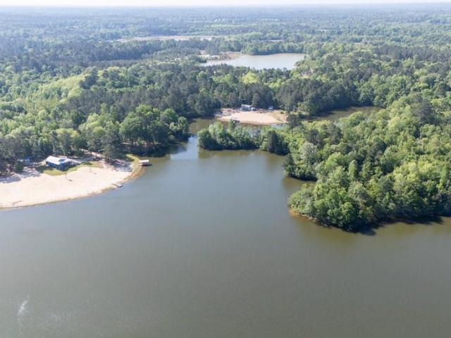 Land for sale in Franklinton, Louisiana