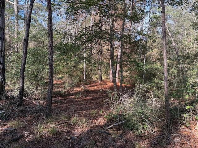 Land for sale in Zavalla, Texas