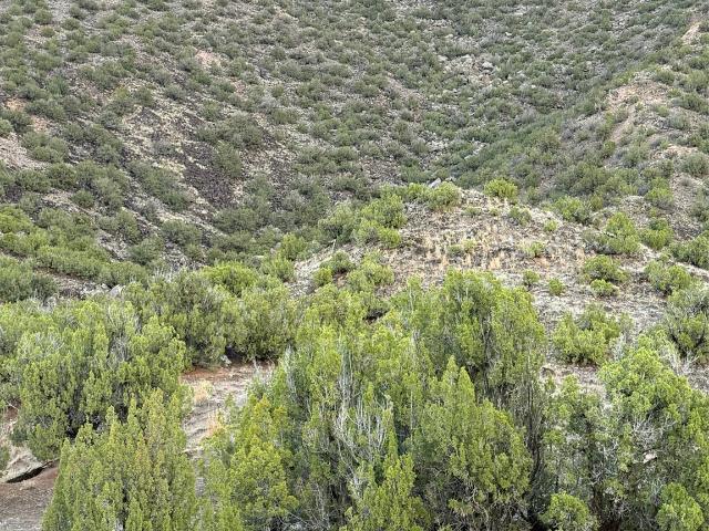 Land for sale in Ojo Caliente, New Mexico