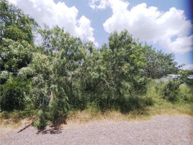 Land for sale in Sandia, Texas