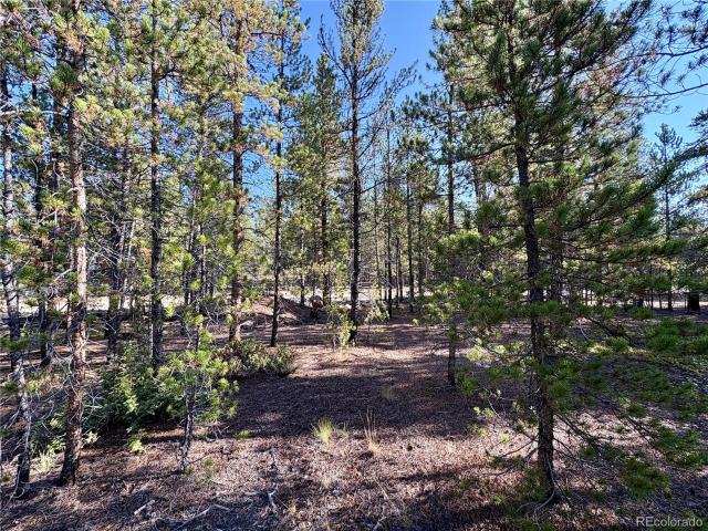 Land for sale in Twin Lakes, Colorado