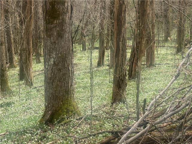Land for sale in North Carolina