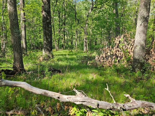 Land for sale in Crosslake, Minnesota
