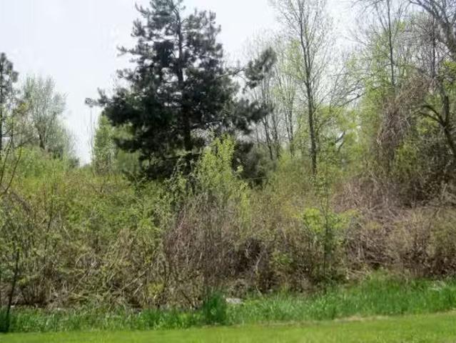 House for rent in Mount Pleasant