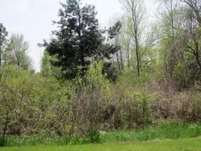 House for rent in Mount Pleasant