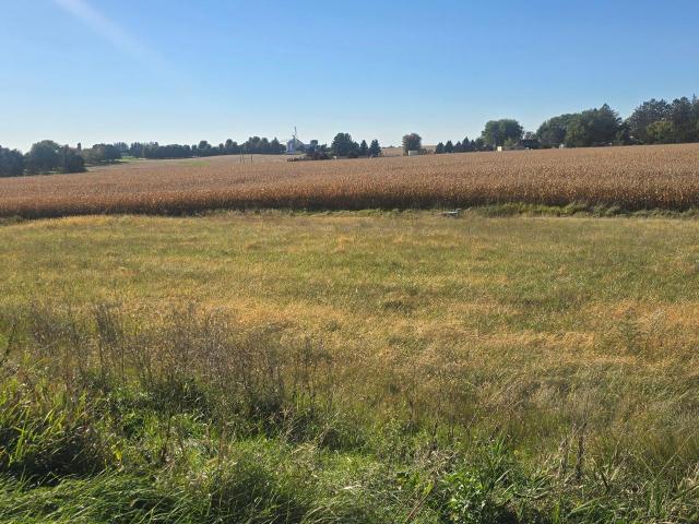 Land for sale in Harmony, Minnesota