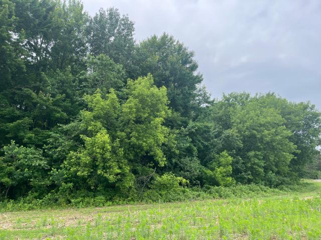 Land for sale in North Branch, Minnesota