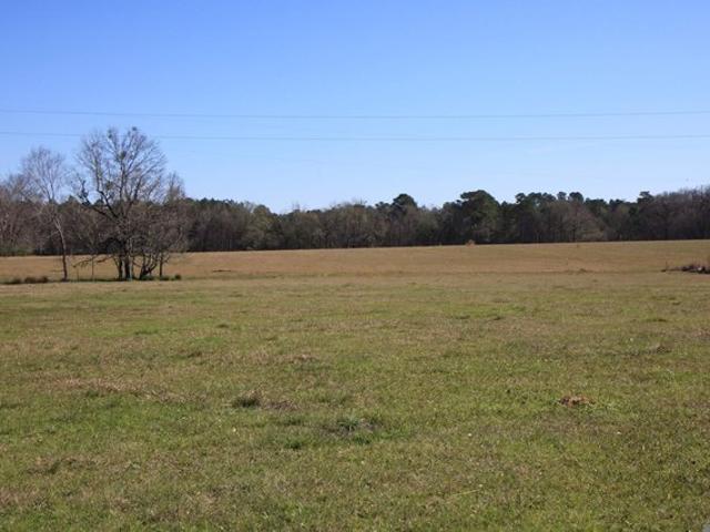 Land for sale in Slaughter, East Feliciana Parish