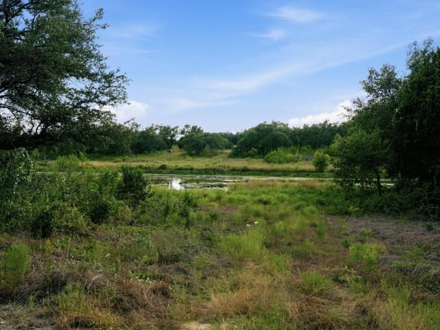 Land for sale in Bertram, Burnet County