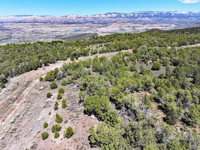 Land for sale in Mesa, Colorado